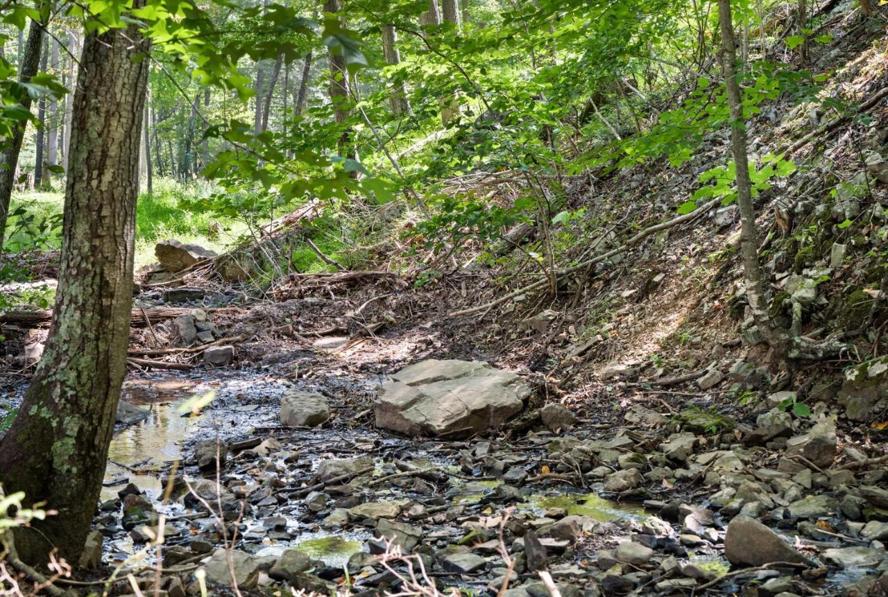 River Access W Hot Tub, Grill, Wifi, & Fire Pit! Lost City エクステリア 写真
